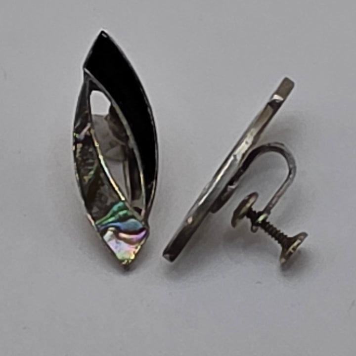 Sterling Silver. Abalone Shell & Enamel Necklace & Earrings Set